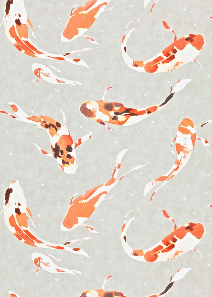 Tapetai Koi Paprika Tapetai Koi Paprika