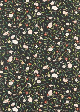 Tapetai Henrietta's Trail  Vine Black
