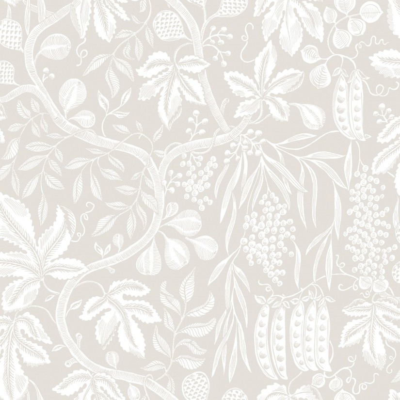 Tapetai  Fig Garden Sandstone Tapetai  Fig Garden Sandstone