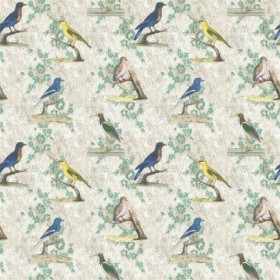 Audinys Wallpaper Birds