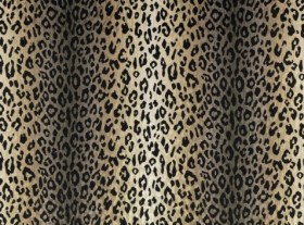 Audinys Mimi Velvet Kohl