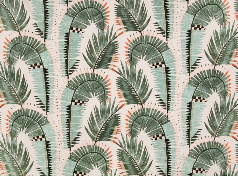 Audinys Farrah Agave Audinys Farrah Agave