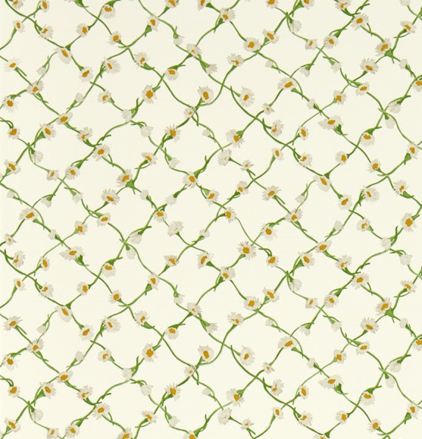 Tapetai Daisy Trellis Emerald/Pearl Tapetai Daisy Trellis Emerald/Pearl