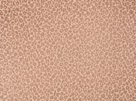 Tapetai Kitty  Powder Room