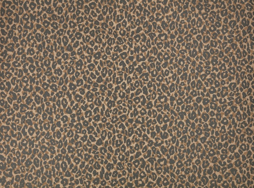 Tapetai Kitty Tan Tapetai Kitty Tan