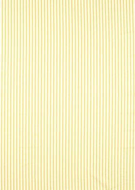 Audinys Ribbon Stripe Citrine