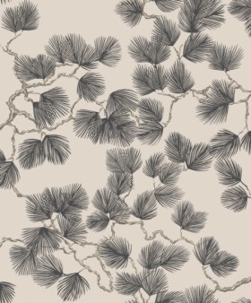 Tapetai Pine, Brown