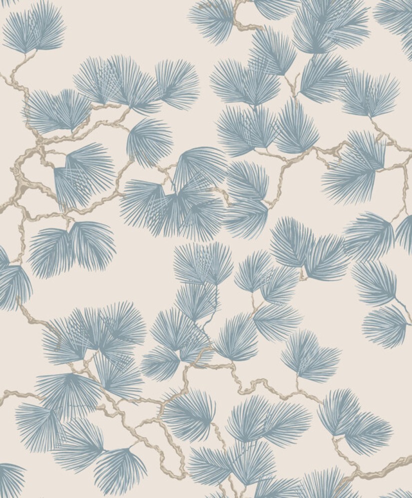 Tapetai Pine, Misty Blue Tapetai Pine, Misty Blue