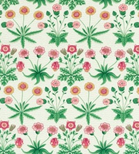 Audinys Daisy