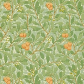 Tapetai Arbutus