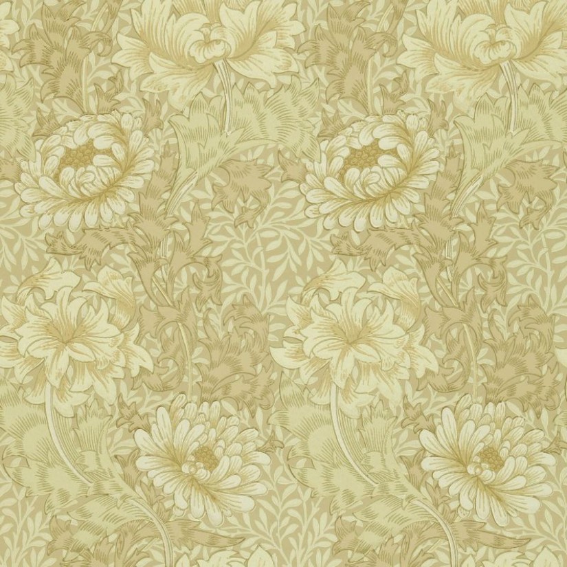 Tapetai Chrysanthemum Tapetai Chrysanthemum