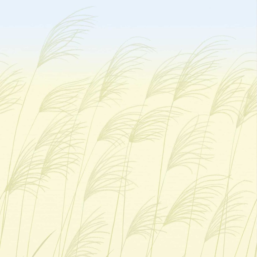 Tapetai Miscanthus Tapetai Miscanthus