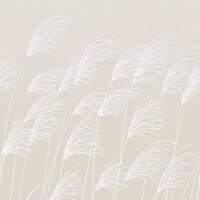 Tapetai Miscanthus