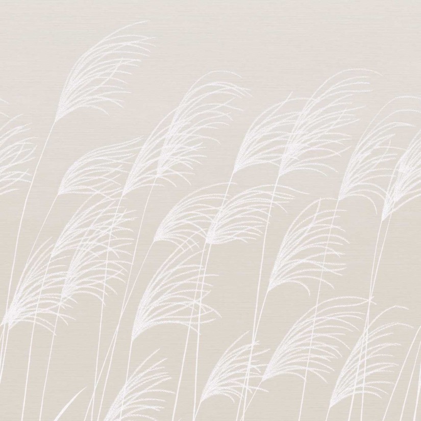 Tapetai Miscanthus Tapetai Miscanthus