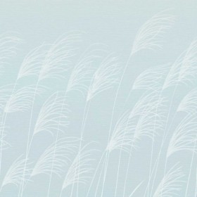 Tapetai Miscanthus