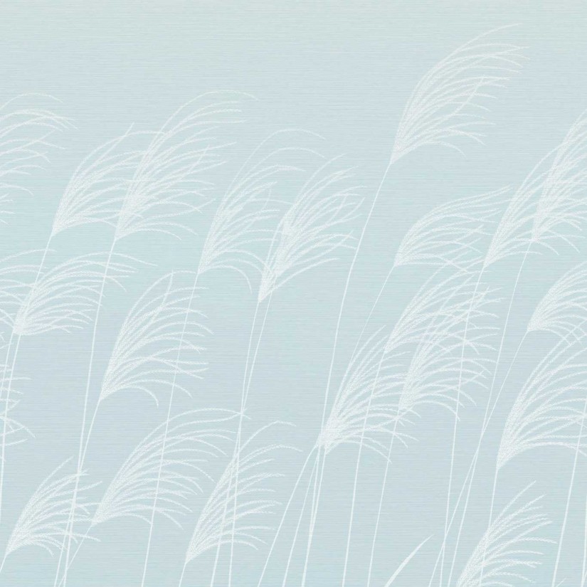 Tapetai Miscanthus Tapetai Miscanthus