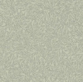 Tapetai Salix Alba
