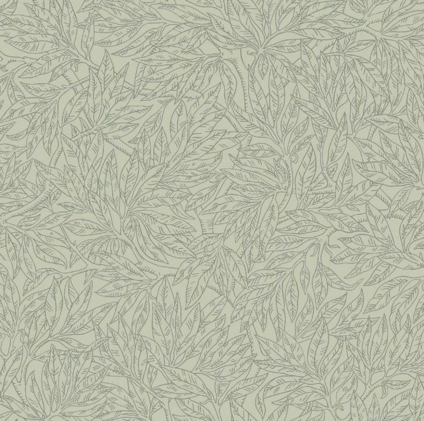 Tapetai Salix Alba Tapetai Salix Alba