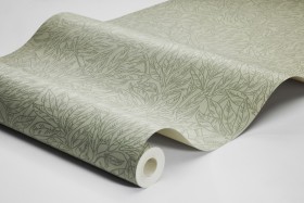 Tapetai Salix Alba Tapetai Salix Alba