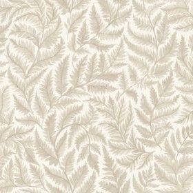 Tapetai Ferns