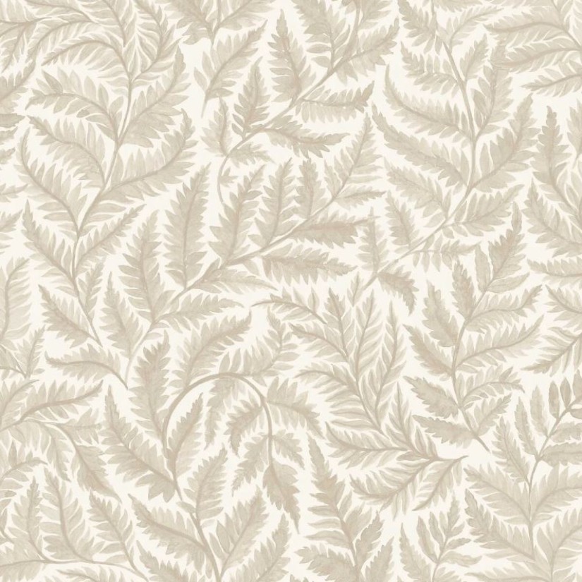 Tapetai Ferns Tapetai Ferns
