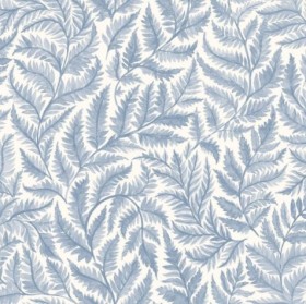Tapetai Ferns