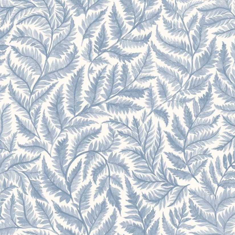 Tapetai Ferns Tapetai Ferns