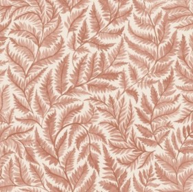 Tapetai Ferns