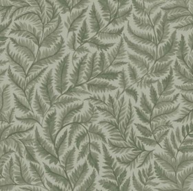Tapetai Ferns