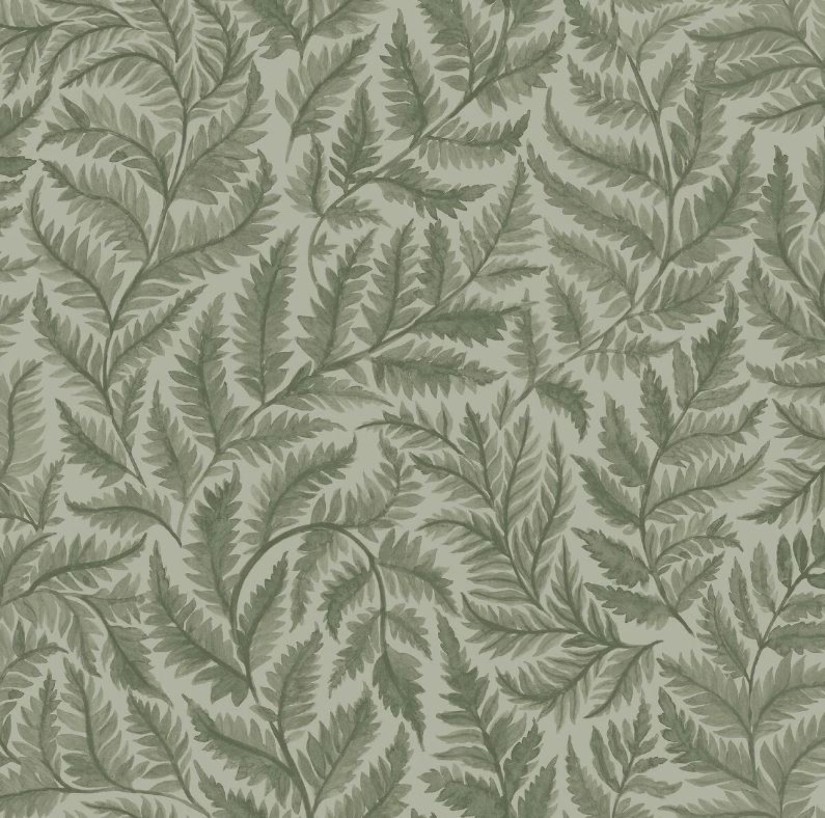 Tapetai Ferns Tapetai Ferns