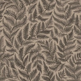 Tapetai Ferns