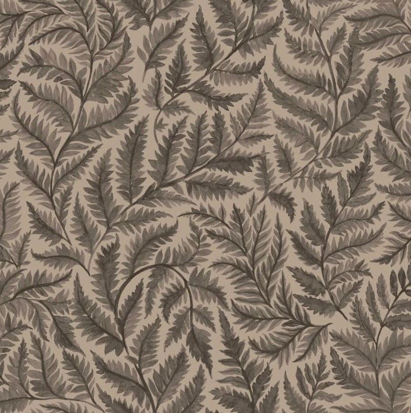 Tapetai Ferns Tapetai Ferns