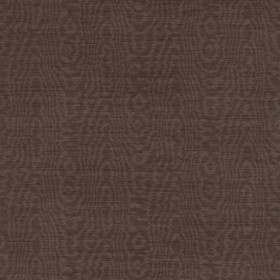 Tapetai Elsworthy Wide Width