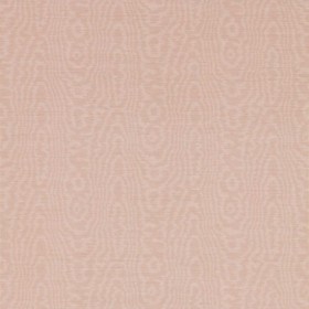 Tapetai Elsworthy Wide Width