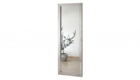 Veidrodis Alu / 55x161