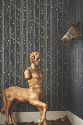 Tapetai Woods & Stars