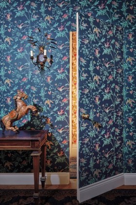 Tapetai Hummingbirds