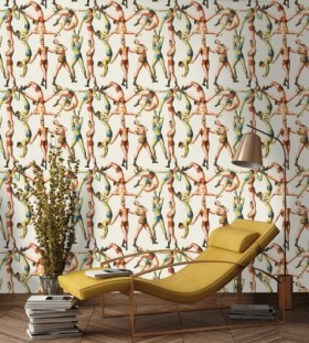 Tapetai The Acrobats tapet