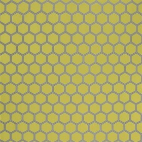 Audinys Zardozi Alchemilla