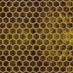 Audinys Manipur Ochre