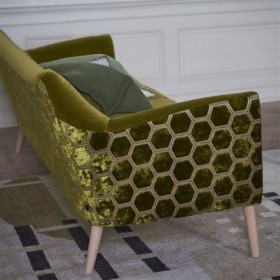 Audinys Manipur Moss