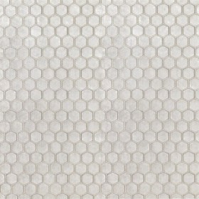 Audinys Chandigargh/ Manipur