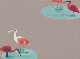 Tapetai Amazon river