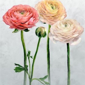 Tapetai Tourangelle Scene 2 peony