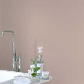 DAŽAI PALE BIRCH NO. 24