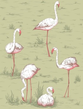 Tapetai Flamingos