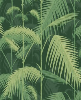 Tapetai Palm jungle