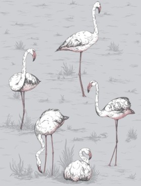Tapetai Flamingos