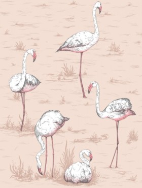 Tapetai Flamingos