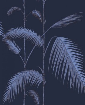 Tapetai Palm leaves
